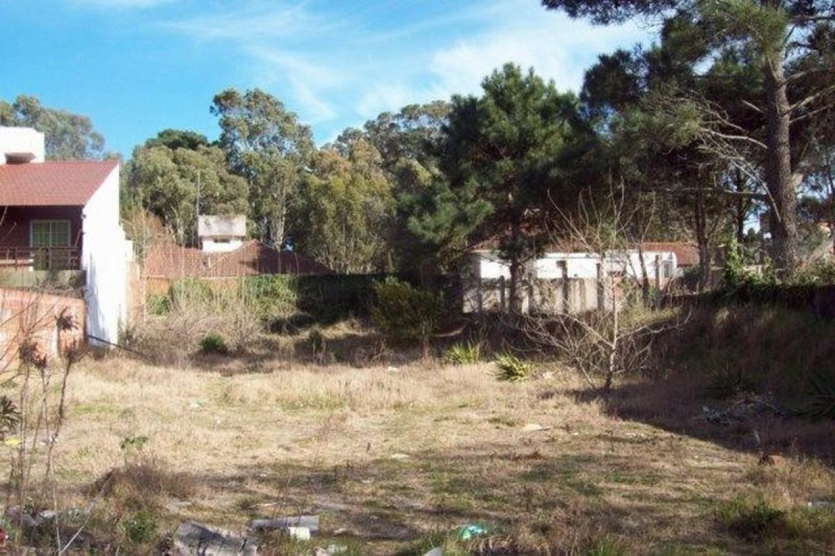 Terreno en Mar del Plata, Argentina No. 113666