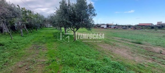 قطعة أرض في Milazzo, Italy 4600متر مربع رقم 163584 2