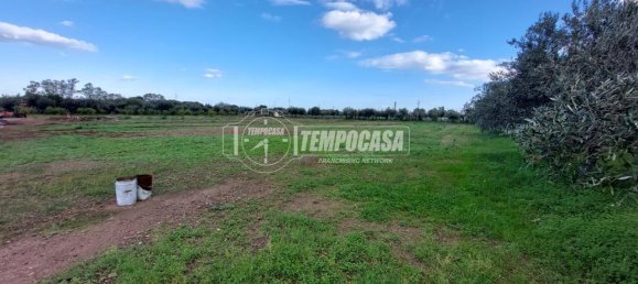 قطعة أرض في Milazzo, Italy 4600متر مربع رقم 163584 9