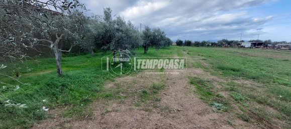 قطعة أرض في Milazzo, Italy 4600متر مربع رقم 163584 7