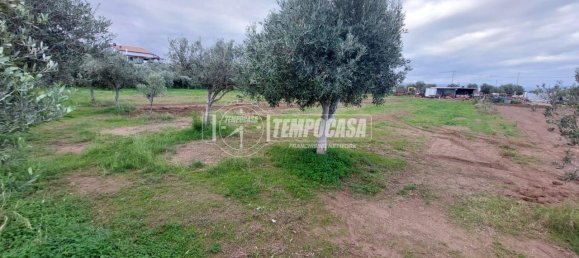 قطعة أرض في Milazzo, Italy 4600متر مربع رقم 163584 4