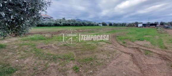 قطعة أرض في Milazzo, Italy 4600متر مربع رقم 163584 8