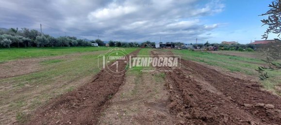 قطعة أرض في Milazzo, Italy 4600متر مربع رقم 163584 5