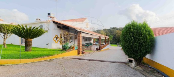 9 bedrooms House in Montemor o Novo, Portugal No. 107776 6