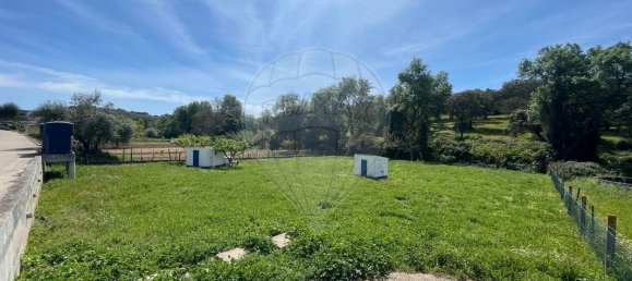 9 bedrooms House in Montemor o Novo, Portugal No. 107776 45