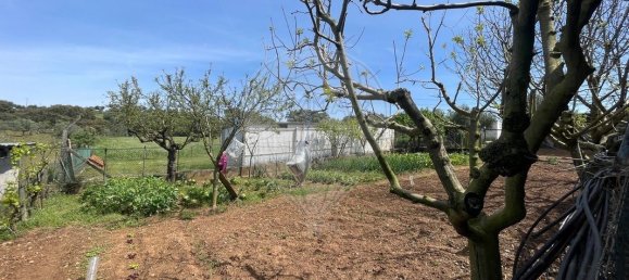 9 bedrooms House in Montemor o Novo, Portugal No. 107776 40