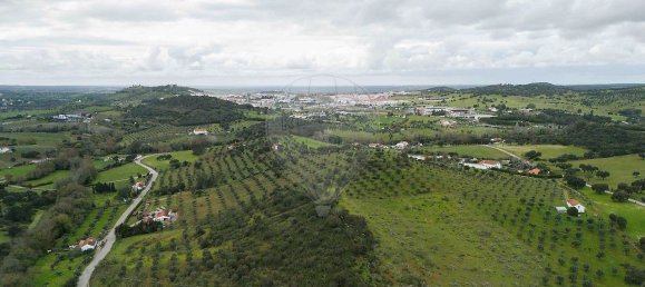 9 bedrooms House in Montemor o Novo, Portugal No. 107776 49