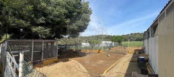 9 bedrooms House in Montemor o Novo, Portugal No. 107776 41