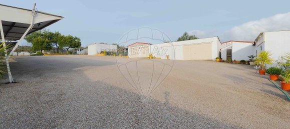 9 bedrooms House in Montemor o Novo, Portugal No. 107776 5