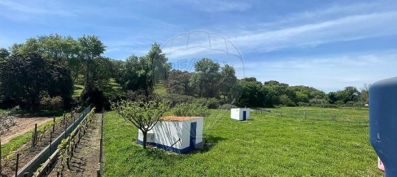 9 bedrooms House in Montemor o Novo, Portugal No. 107776 44