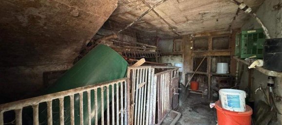 Casa de 6 divisões em Rohrbach an der Lafnitz, Austria N.º 219459 14