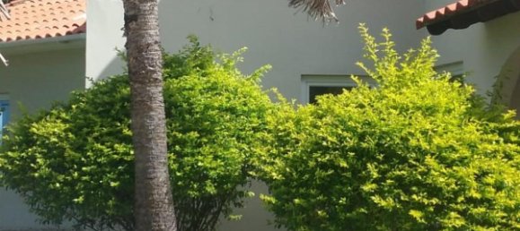 3 غرف نوم منزل في Sosua, Dominican Republic رقم 11 11