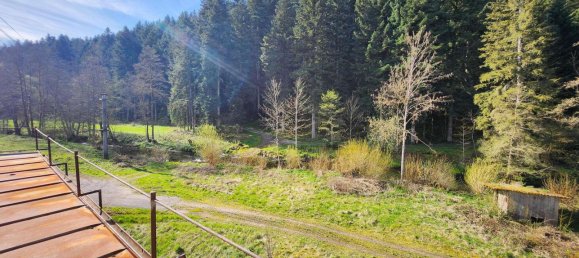 12غرفة بناية في Freudenstadt, Germany رقم 2462 18