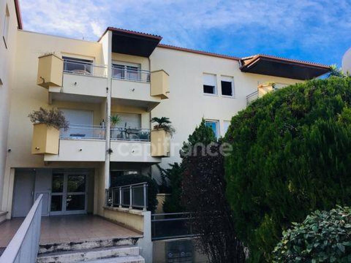 17m² Shop in Montpellier, France No. 20276