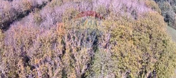 1 room Land in Serra San Quirico, Italy No. 4775 12