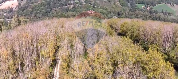 1 room Land in Serra San Quirico, Italy No. 4775 10