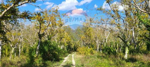 1 room Land in Serra San Quirico, Italy No. 4775 2