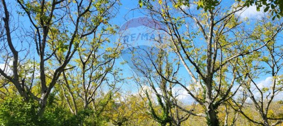 1 room Land in Serra San Quirico, Italy No. 4775 8