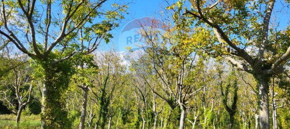 1 room Land in Serra San Quirico, Italy No. 4775 9