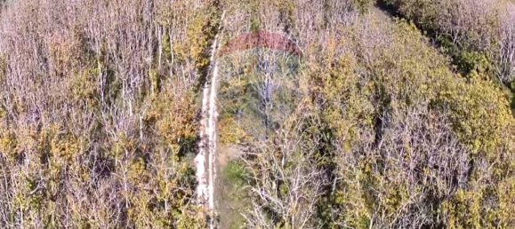 1 room Land in Serra San Quirico, Italy No. 4775 13