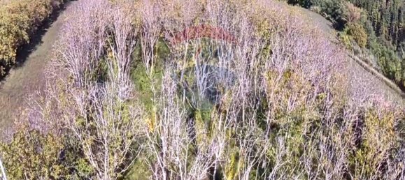 1 room Land in Serra San Quirico, Italy No. 4775 11