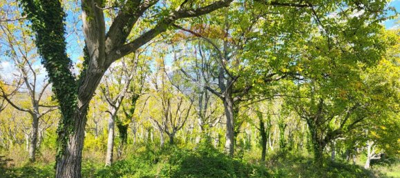 1 room Land in Serra San Quirico, Italy No. 4775 6