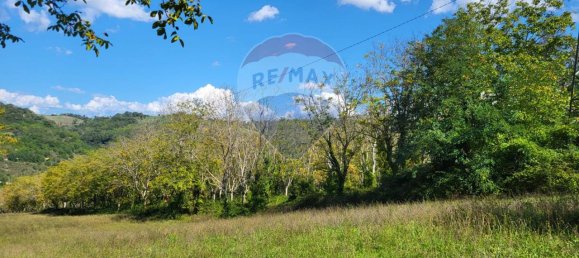 1 room Land in Serra San Quirico, Italy No. 4775 5