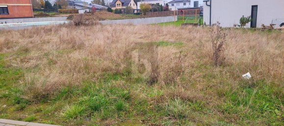  Land in Rhineland-Palatinate, Germany No. 158642 3