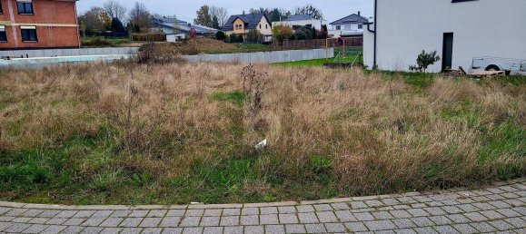  Land in Rhineland-Palatinate, Germany No. 158642 2