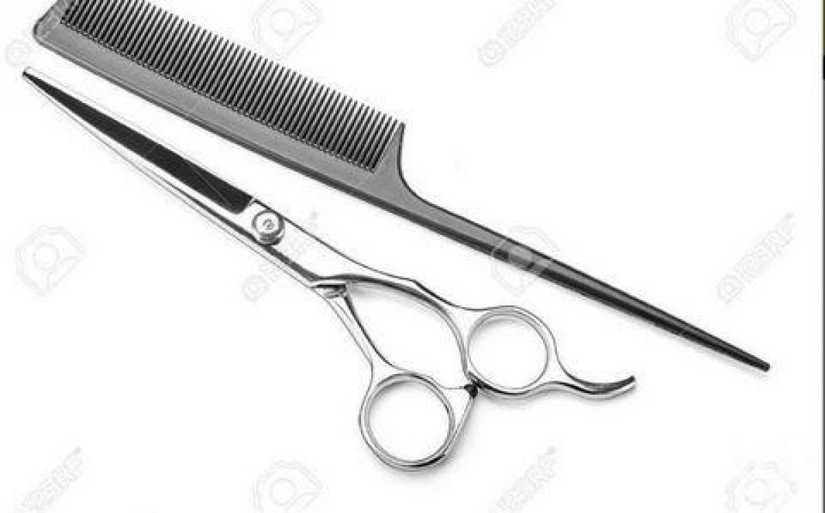 Офис 40м² в Тулуза, Франция № 20283