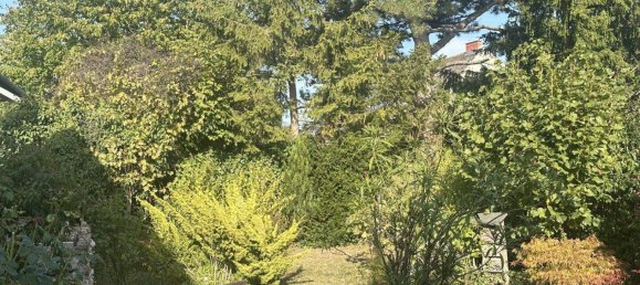 4 rooms Townhouse in Baden, Austria No. 244315 36