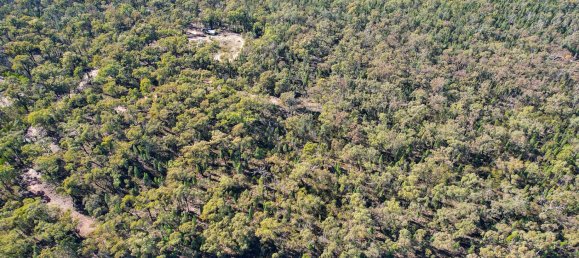 80100m² Land in Cypress Gardens, Australia No. 412 11