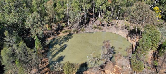 80100m² Land in Cypress Gardens, Australia No. 412 7