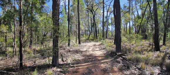 80100m² Land in Cypress Gardens, Australia No. 412 6