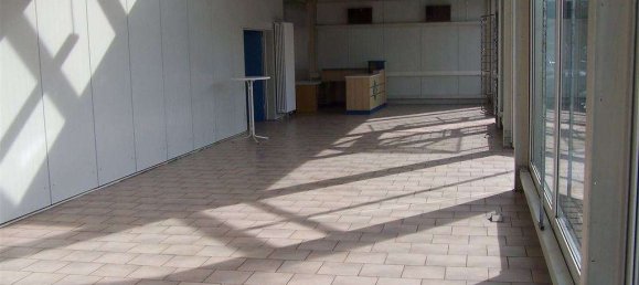 Lagerhaus in Main-Kinzig, Germany 300m², Nr. 191341 6