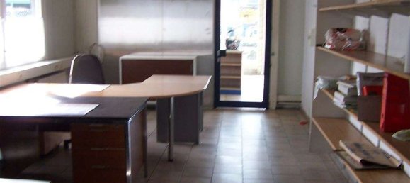 Lagerhaus in Main-Kinzig, Germany 300m², Nr. 191341 16