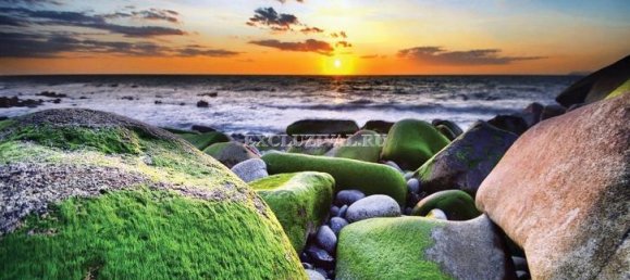 Villa 5+2 in Bodrum, Turkey No. 28217 4