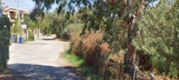 6 Schlafzimmer Wohnung in San Teodoro, Italy, Nr. 336687 2