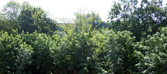 3 rooms Apartment in Nuremberg, Germany No. 218344 5