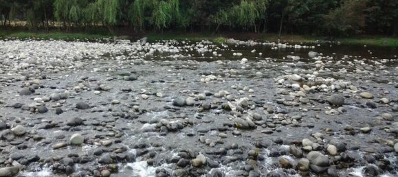  قطعة أرض في Biobio, Chile رقم 1380 2