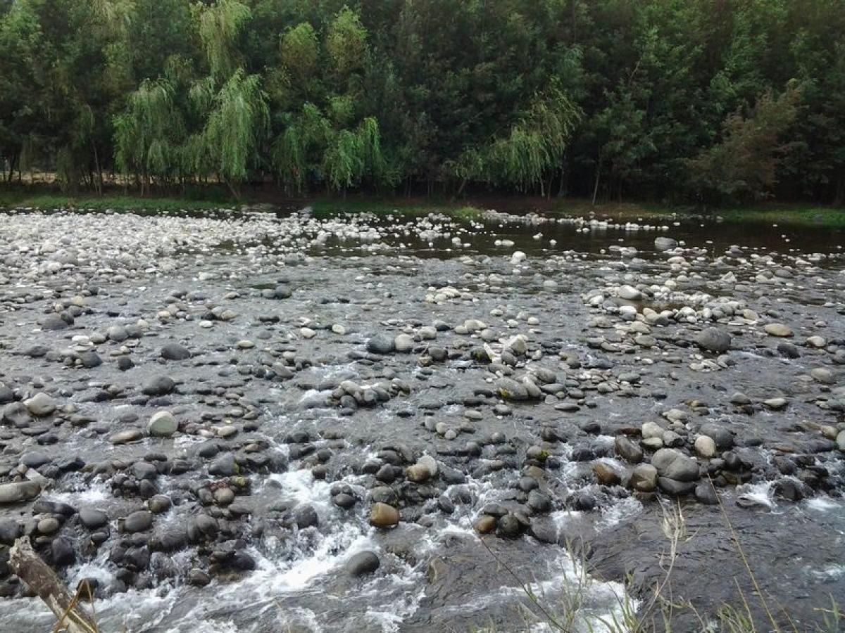  قطعة أرض في Biobio, Chile رقم 1380