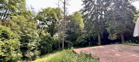 8-Zimmer Villa in Währing, Austria, Nr. 236509 14