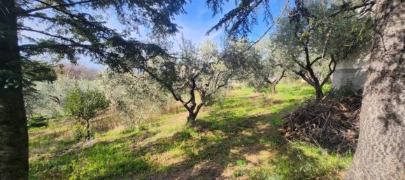 4 rooms Villa in Palombara Sabina, Italy No. 31065 25