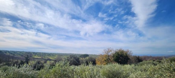 4 rooms Villa in Palombara Sabina, Italy No. 31065 3