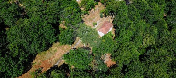 2 bedrooms House in Cinfaes, Portugal No. 186235 13