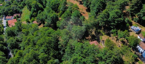 2 bedrooms House in Cinfaes, Portugal No. 186235 12