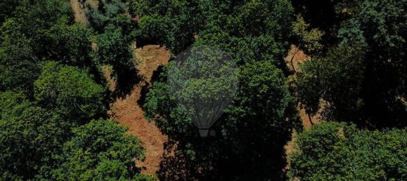 2 bedrooms House in Cinfaes, Portugal No. 186235 20