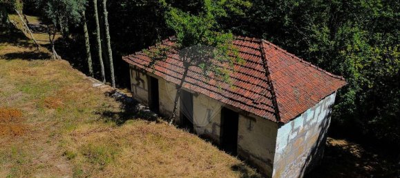 2 bedrooms House in Cinfaes, Portugal No. 186235 10