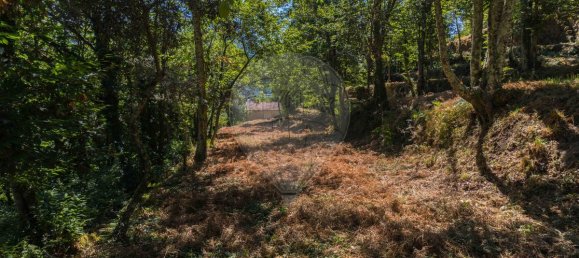 2 bedrooms House in Cinfaes, Portugal No. 186235 19