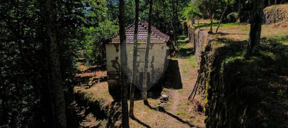 2 bedrooms House in Cinfaes, Portugal No. 186235 11